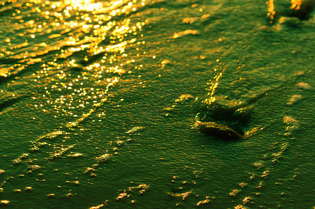 抽象的绿色背景水图像蓝色的海浪液体图片