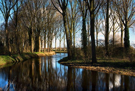 班达姆水比利时小村庄Damme的一幅闪光林地景象如画落叶背景