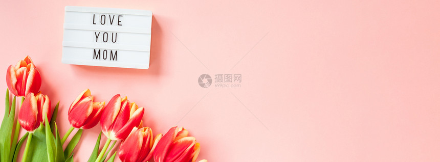 母亲节的郁金香花朵图片