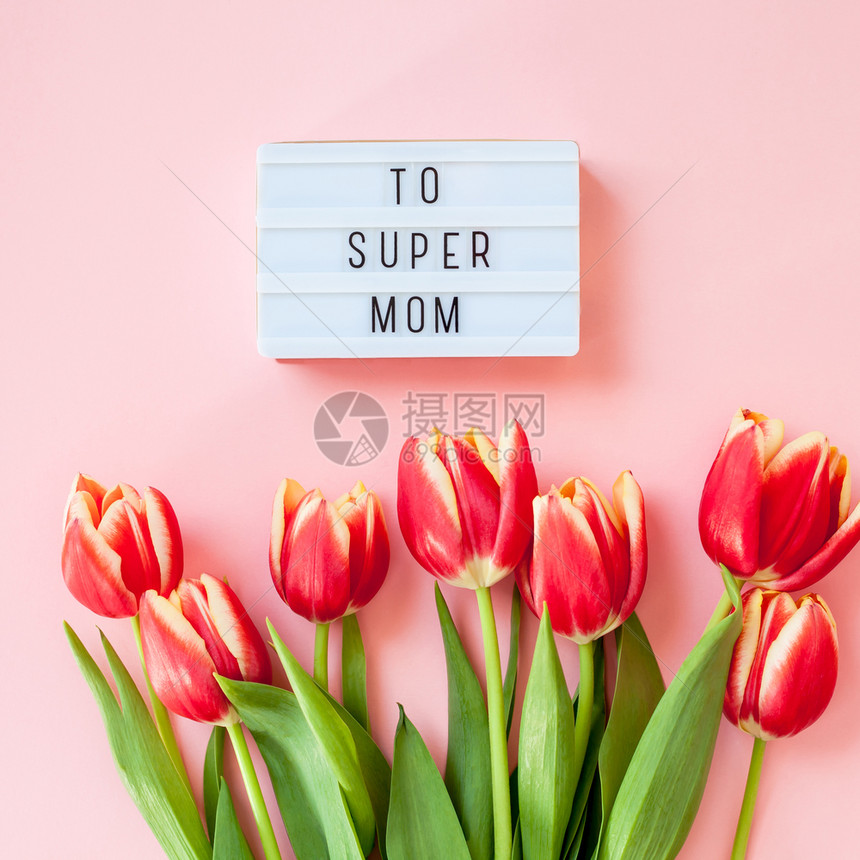 母亲节的郁金香花朵图片