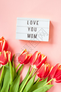 母亲节的郁金香花朵背景图片