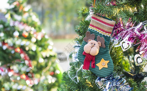 圣诞快乐袜子在圣诞树上装饰收藏象征喜庆的图片