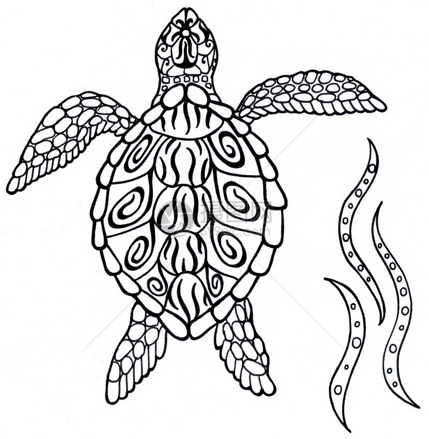 卡通片海龟精神动物黑白插图剪影与案海龟精神动物黑白插图剪影与案海洋形象的图片