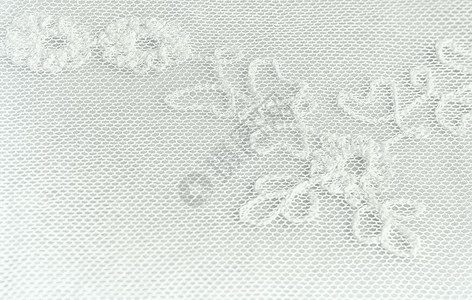 蕾丝花纹矢量图重点产品传统纺织背景白带织物缝合上花纹装饰的碎片AFloralLace背景选择焦点部分白色的背景