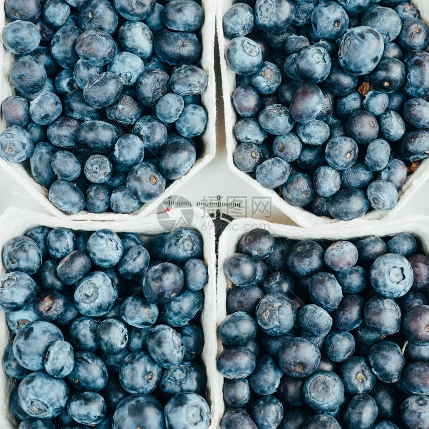 食物盒子里多汁成熟的蓝莓顶视图特写盒子里多汁成熟的蓝莓顶视图美味的可口图片