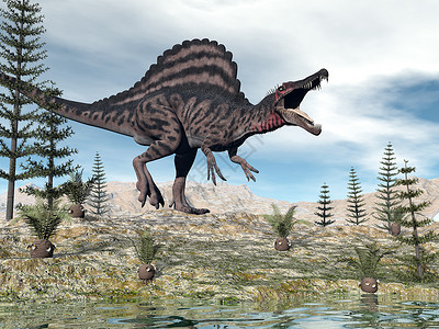 巨棘龙怒吼一只脊柱龙恐在沙漠中行走cycaeodia和卡莱米特植物之间3D化成脊柱龙恐3D化成D步行古生物学设计图片