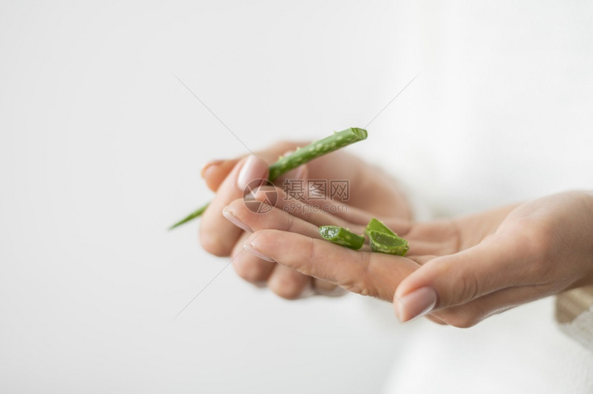 植物维拉关闭芦荟植物群图片