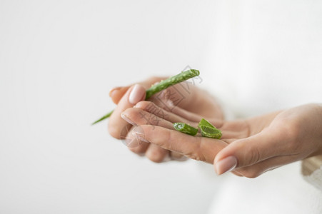 植物维拉关闭芦荟植物群图片