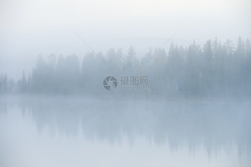 平静的清晨在湖与雾天气中森林季节图片