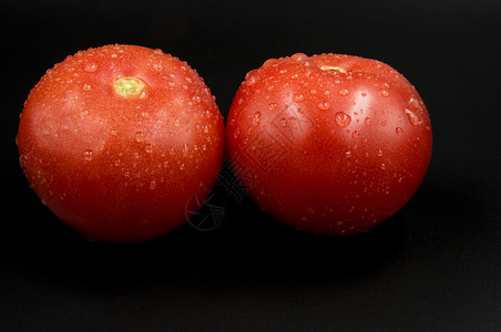 浇水吃波兰两口新鲜的红水西番茄其明显可见的滴子在黑色背景上被隔绝图片