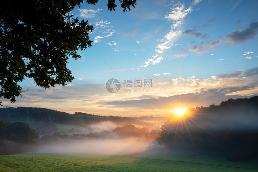 植物莱茵威斯特法伦在德国奥丹达尔伯吉切斯陆地的雾中风景的全图象暮图片