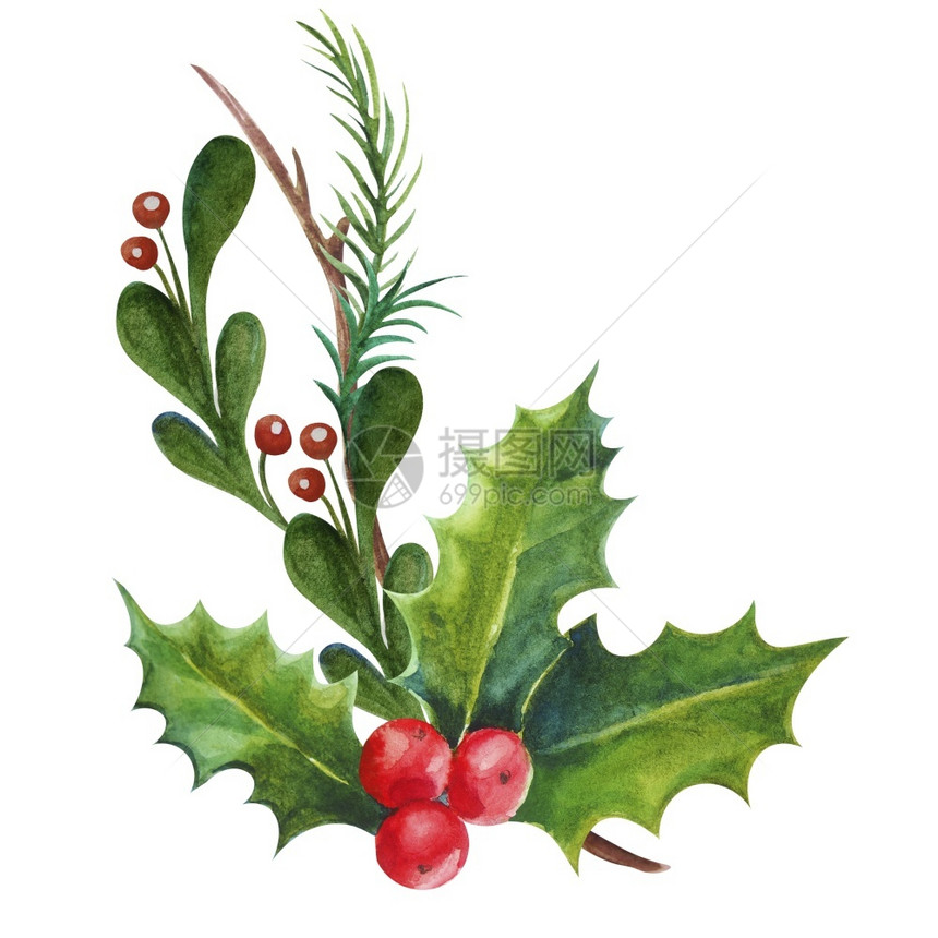 水彩画圣诞装饰品花树叶和果浆圣诞装饰品季节风格图片