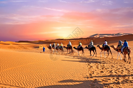 大队委穿越沙漠的骆驼大队背景