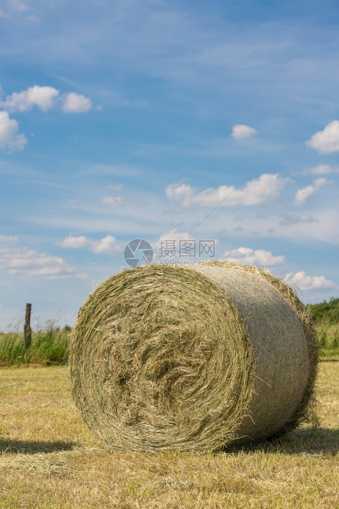 一种德国农业与蓝天对抗草地上大片干滚动的全景象欧洲莱茵威斯特法伦图片