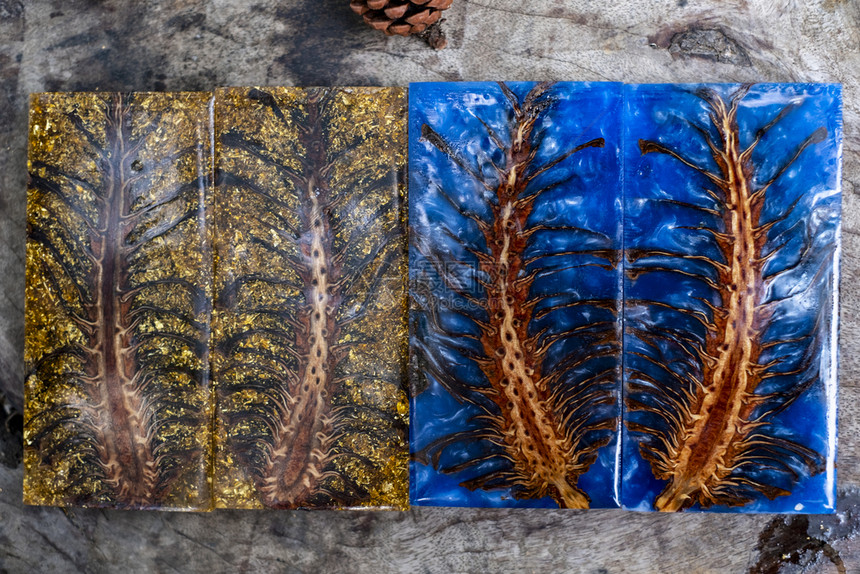 杂交种铸件松树稳定锥的蓝色抽象艺术背景Pineconne图片