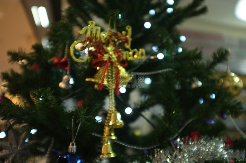圣诞节和新年假日背景蓝色的期树图片