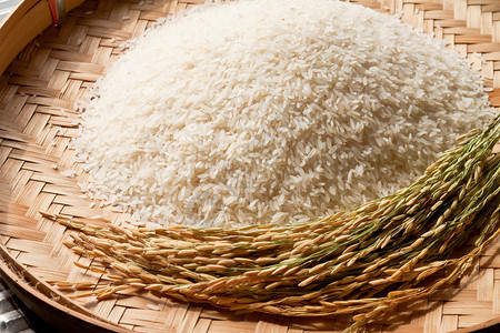 荒野主食有机的以大米为篮子图片