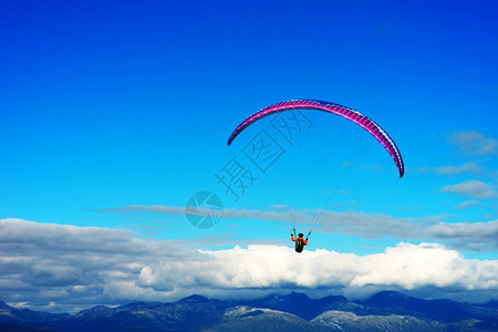富有的空气天背景中的风筝传单高清天空背景中的风筝传单生动背景图片