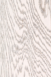 抽象的干净白漆橡木纹理关闭背景白漆橡树木纹理空的图片