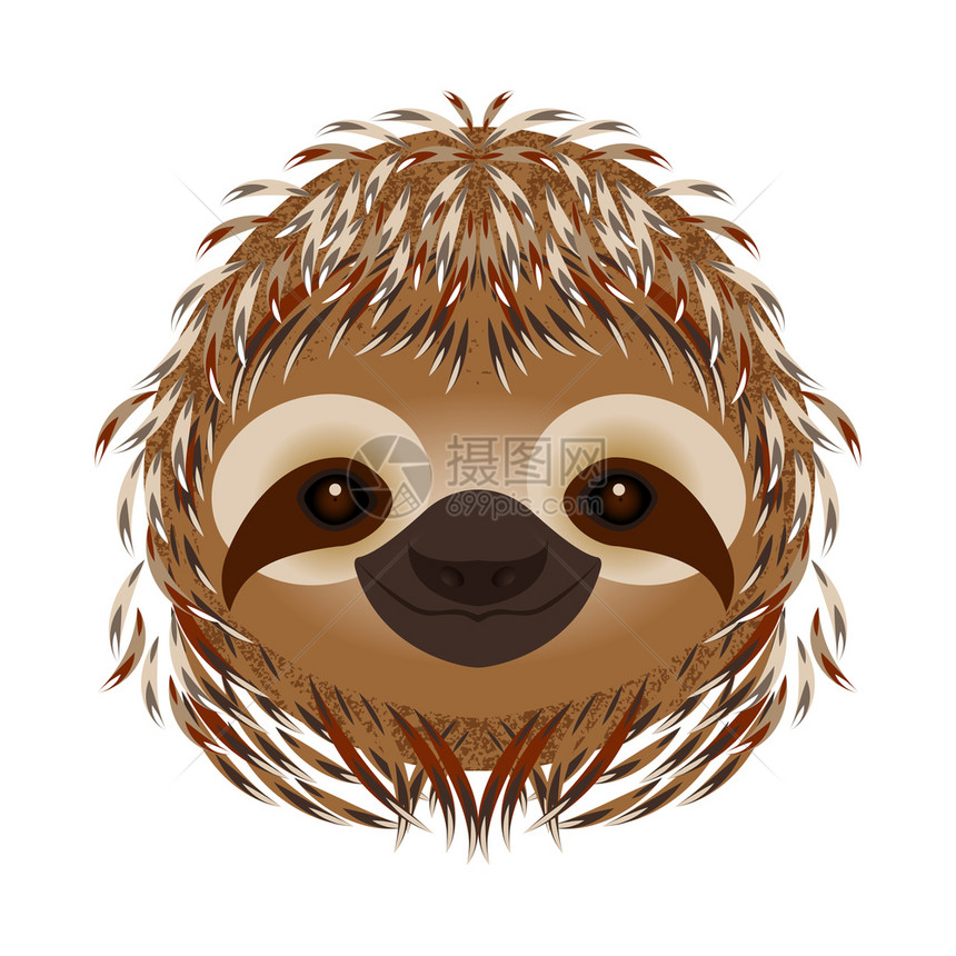 自然热带有趣的树懒头脸肖像米色毛皮卡通风格动物微笑树懒头脸肖像米色毛皮卡通风格动物微笑图片