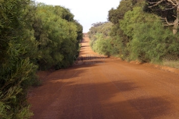 在下面巷道荒野南澳大利亚Kangaroo岛帕尔达纳和斯托克湾附近的Rustic路图片