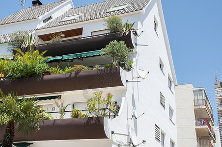商业文化建筑学拥有充满植被的阳台平房图片