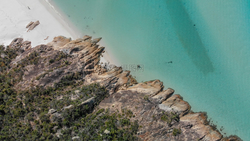 天澳大利亚昆士兰海滩Whitsunday群岛的空中景象艾尔利岛屿图片