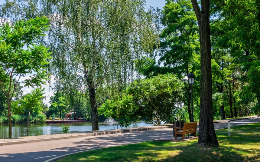 政治风景首都乌克兰基辅0712乌克兰基辅Mezhyhirya住宅的公园景观在阳光明媚的夏日乌克兰基辅的住宅图片
