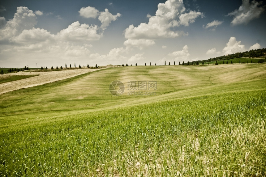 意大利地区典型貌托斯卡纳风景优美植物群被图片