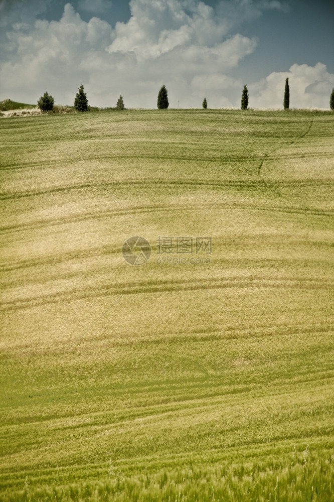 意大利地区典型貌托斯卡纳植物群景观翁布里亚图片