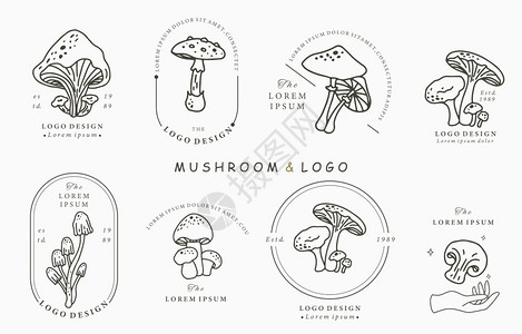波多利亚诺松露带有shimejishiitakeVector的蘑菇系列标志用于图志贴纸可打印和纹身花的手插画