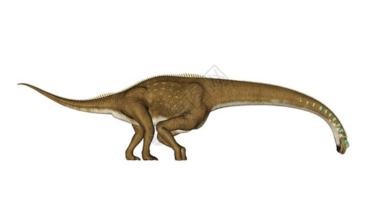 动动物与素材以白色背景与世隔绝的法拉菲坦恐龙3D导致吉拉菲坦恐龙饮用3D古生物学蜥脚类动科设计图片
