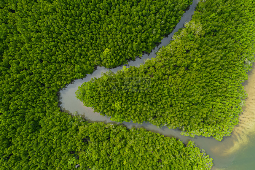 多于雨水季节的上游红树林森空中最高风景海岸亚洲图片