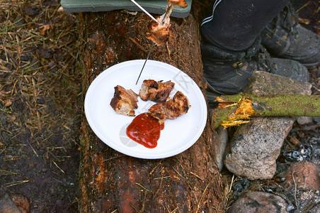 烧烤在大自然上煮肉在煤炭用火烧树枝休息在大自然上烤肉热的野炊图片