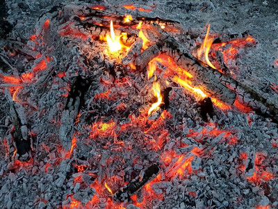 原宿火焰素材明亮的燃烧木材原的火焰橙野餐背景