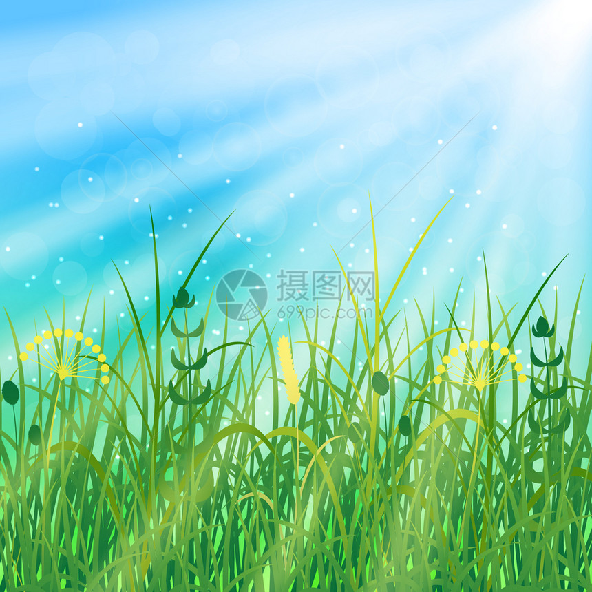 植物学绿化清除夏季太阳光天模糊野草阳光休息的灯在自然中森林里农村的庄上夏季太阳天空田草太阳的灯光图片