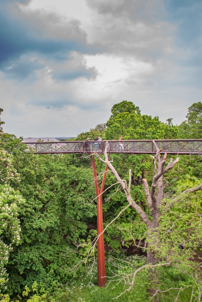 建筑学草树木联合王国伦敦2019年4月日在皇家植物园Kew的树顶行道桥结构由大树环绕图片