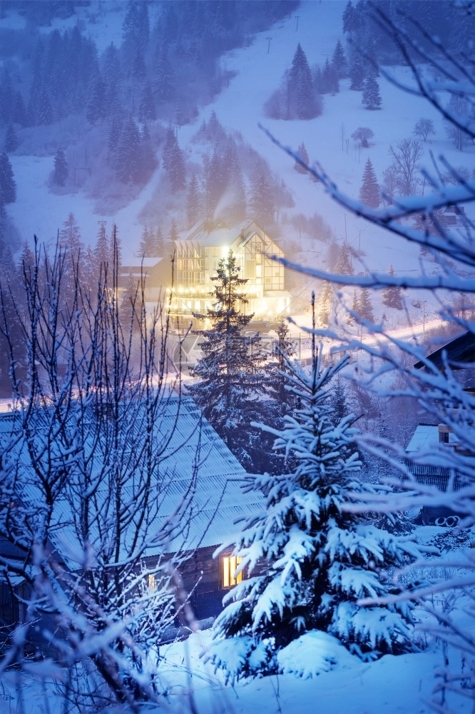 夜晚白雪覆盖的森林和小屋图片