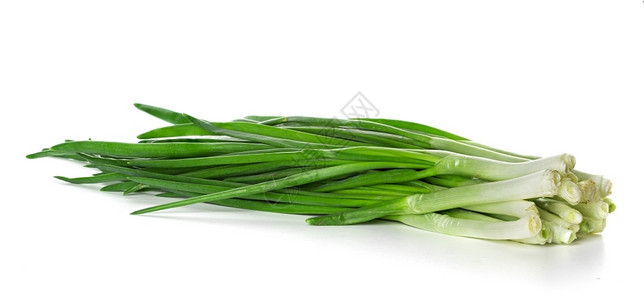 滴杂货白色背景的绿洋葱叶子图片