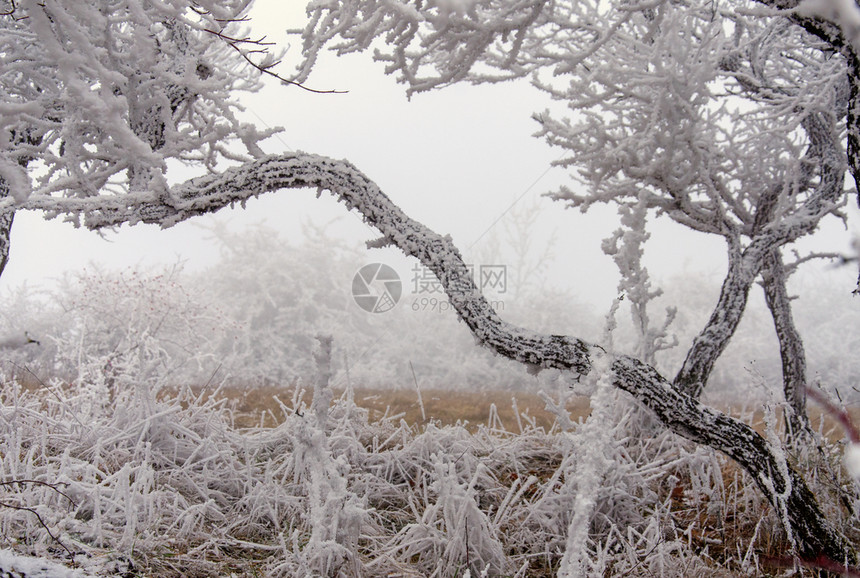 冬季风寒冰的雪地我是冷冻小路图片