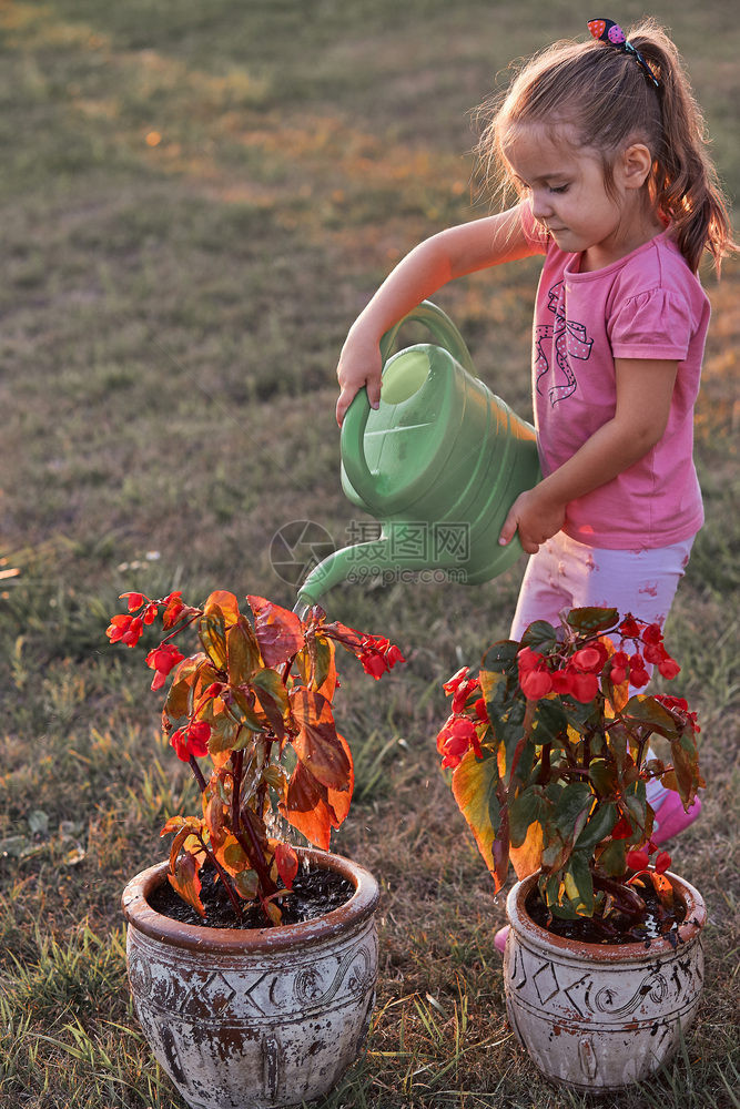 女士人们帮助给花盆里种植的朵浇水小女孩从绿水罐中倒在日落的Candid人真实时刻和情况后院工作孩子图片