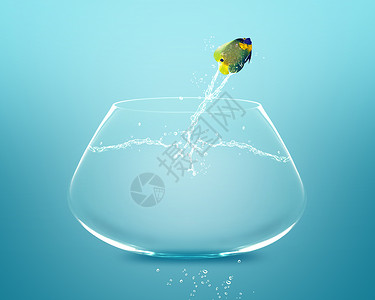 神仙鱼潜水下溅天使鱼跳跃和做杂技表演设计图片