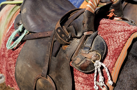 骡子在希腊圣托里尼岛上骑着驴子锡拉细节图片