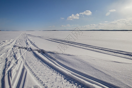 冬季雪地雪景风光图片