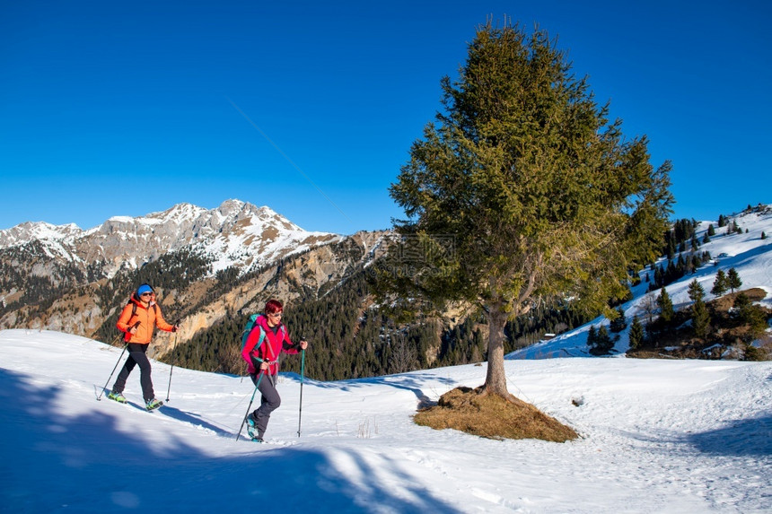 远足在雪上游荡几个女朋友士登山图片