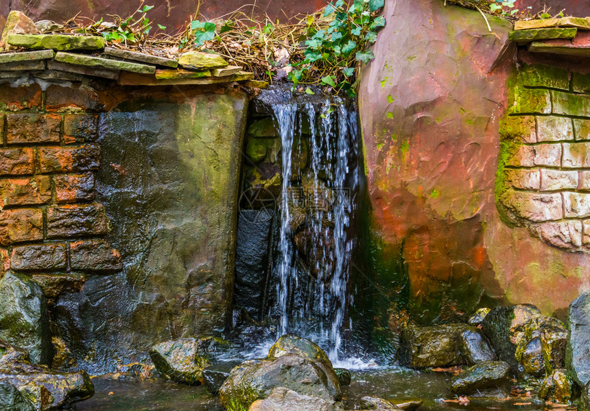 场景自然公园在花后院装饰品流水中的瀑布和溪图片