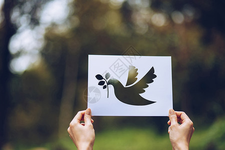 在国际和平日展示带有概念鸽子模版标志的剪切纸国际和平日的希望象征背景图片