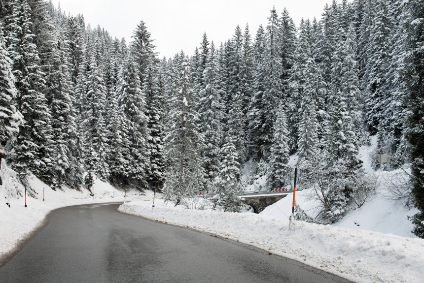 在奥地利一条穿过森林的阿尔卑斯山路场景户外迹象图片