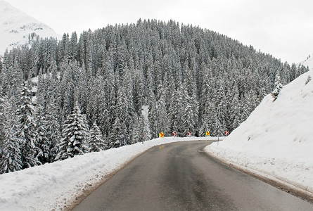冰冷树在奥地利一条穿过森林的阿尔卑斯山路风景优美图片