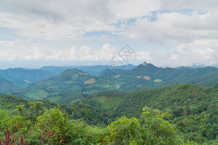 栅栏夏日的山和天空白的林树和山爬坡道图片